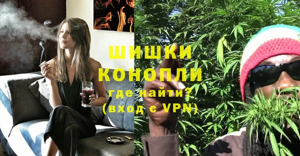 амф Богородск