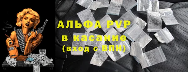 гидра Надым