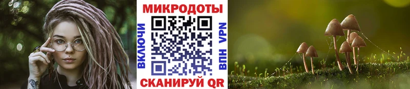 blacksprut ONION  Белоозёрский  Галлюциногенные грибы Cubensis 